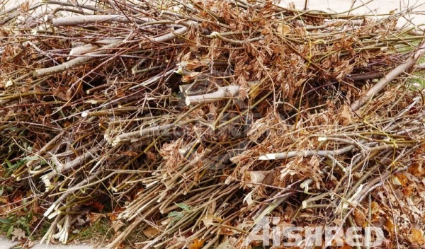 Shredder met dubbele as voor de verwerking van groenafval en biomassa